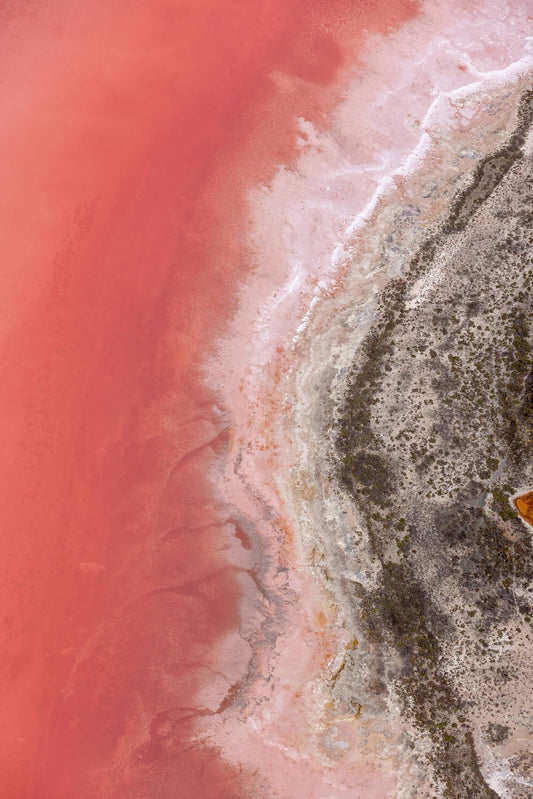 Left-Hand Pink, Hutt Lagoon - Anthony Ponzo [anthonyp.com.au]