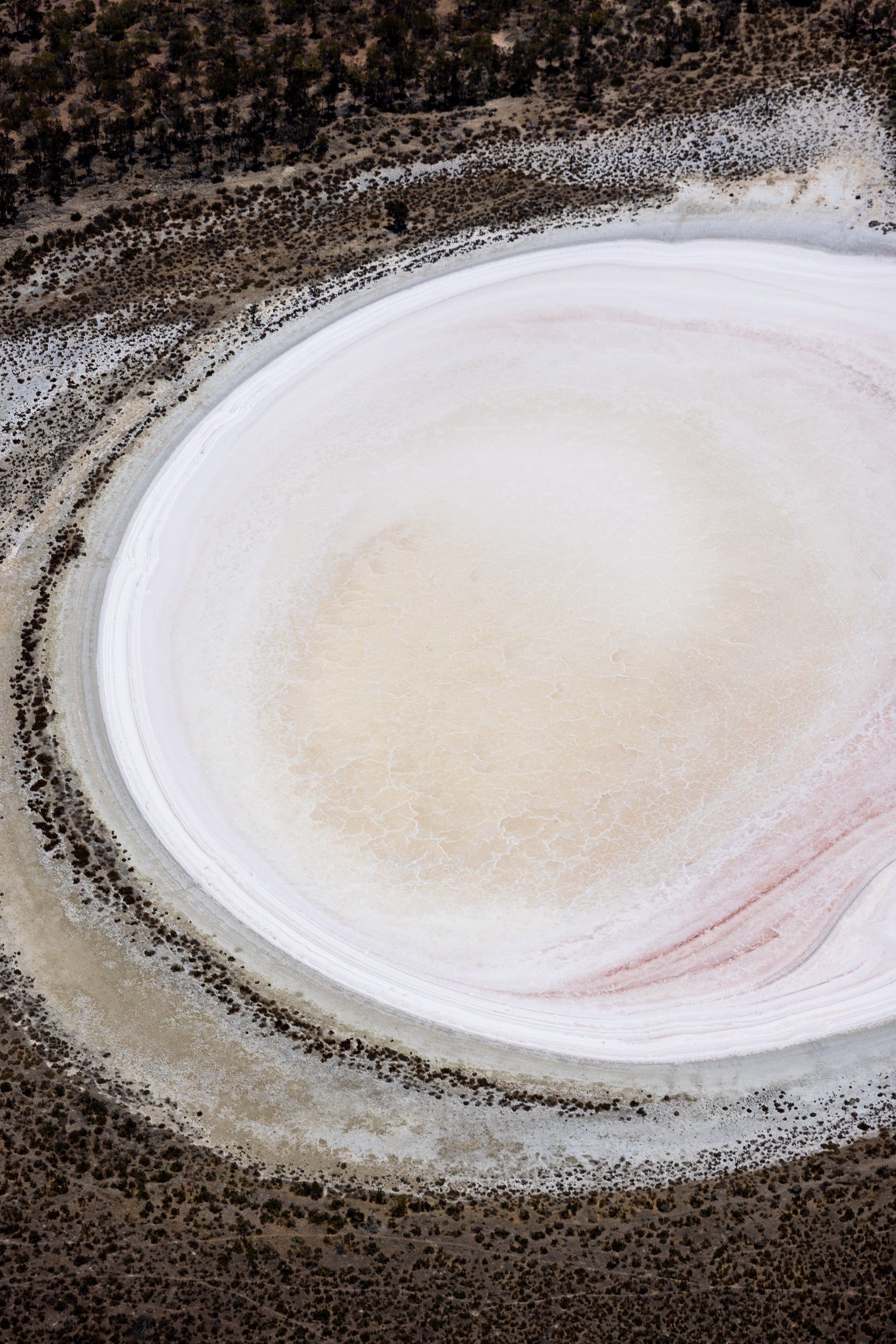 Yarra Yarra Circle, Yarra Yarra, WA - Anthony Ponzo [anthonyp.com.au]