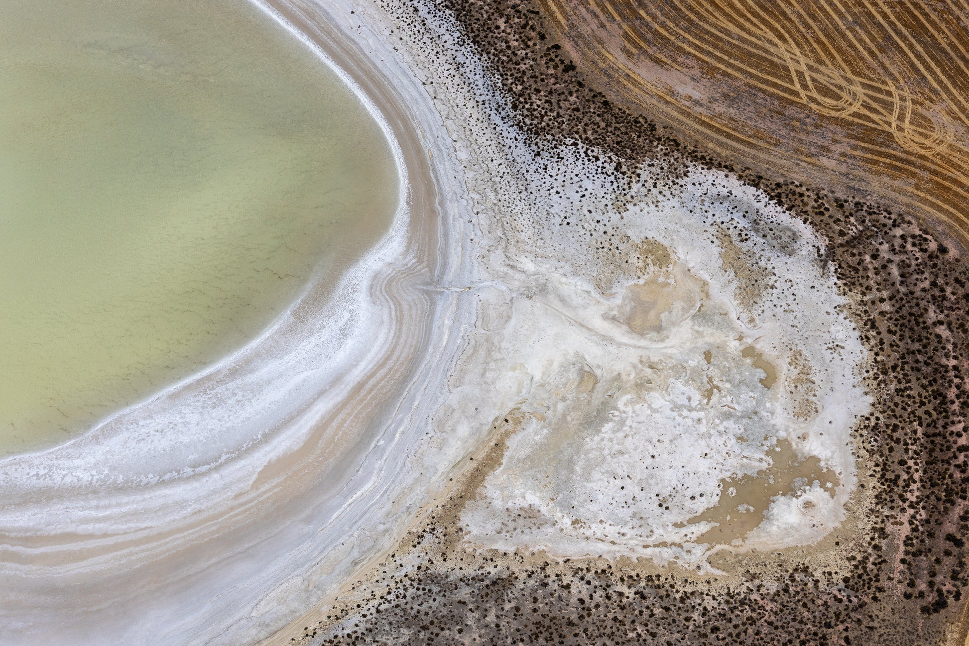 Green Side, Yarra Yarra, WA - Anthony Ponzo [anthonyp.com.au]